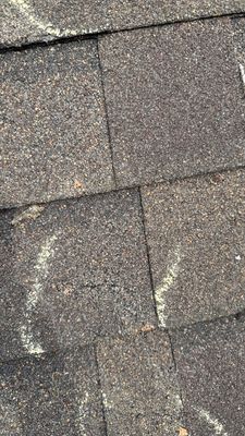 Turtle Shell gutter protection installation in Naperville, IL 60563, photograph 33