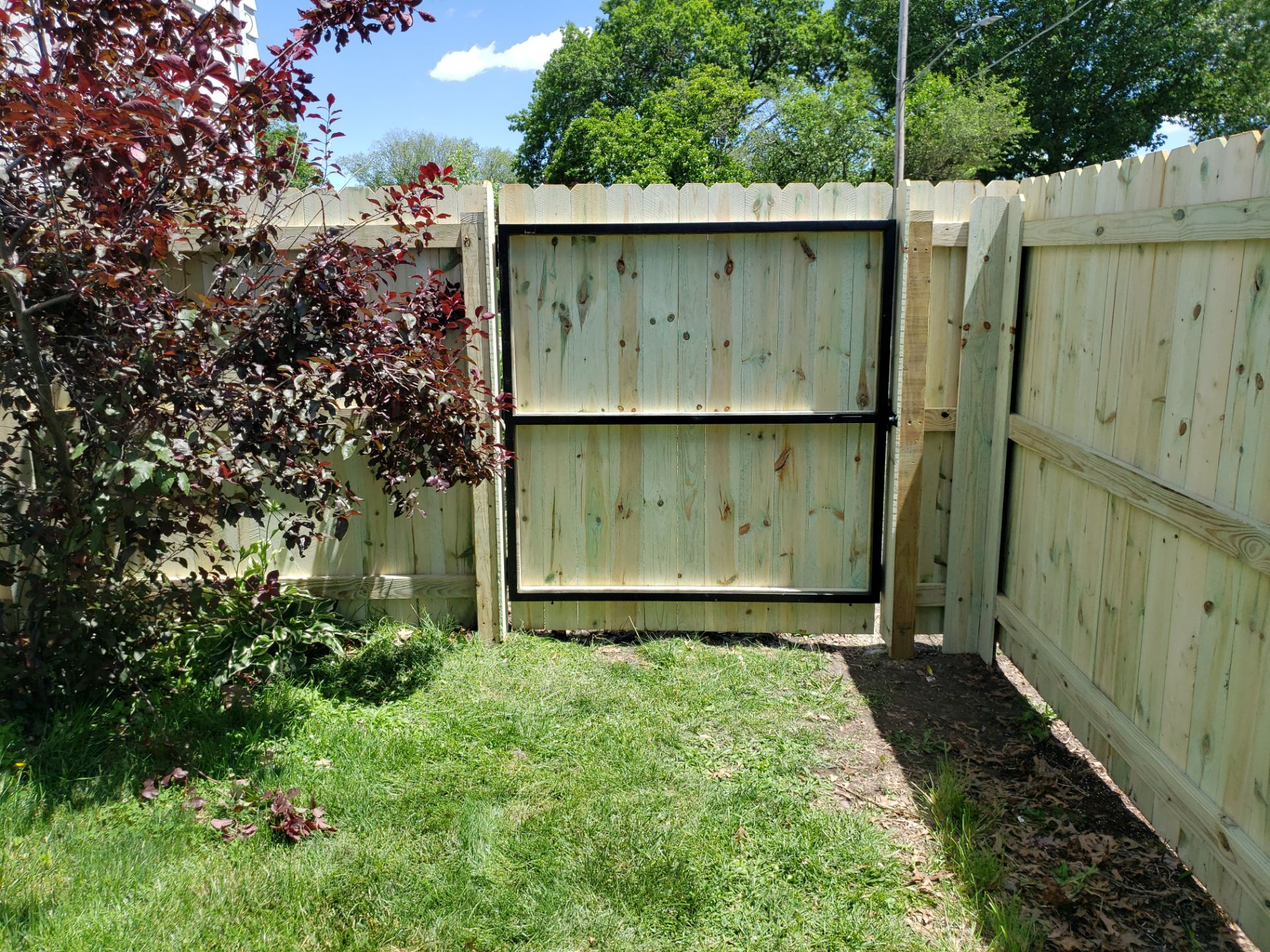 Pressure-Treated Pine Privacy Fence Replacement in Waterloo, Iowa by Perfect Picket Fence and Stain