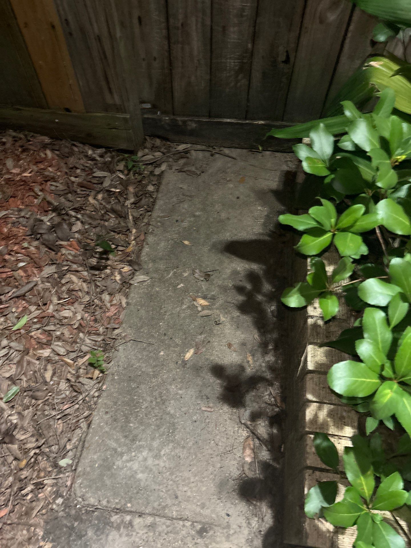 Residential Roofing Repair using Owen's Corning Duration (Lifetime) Shingles by Roof Repair Services LLC