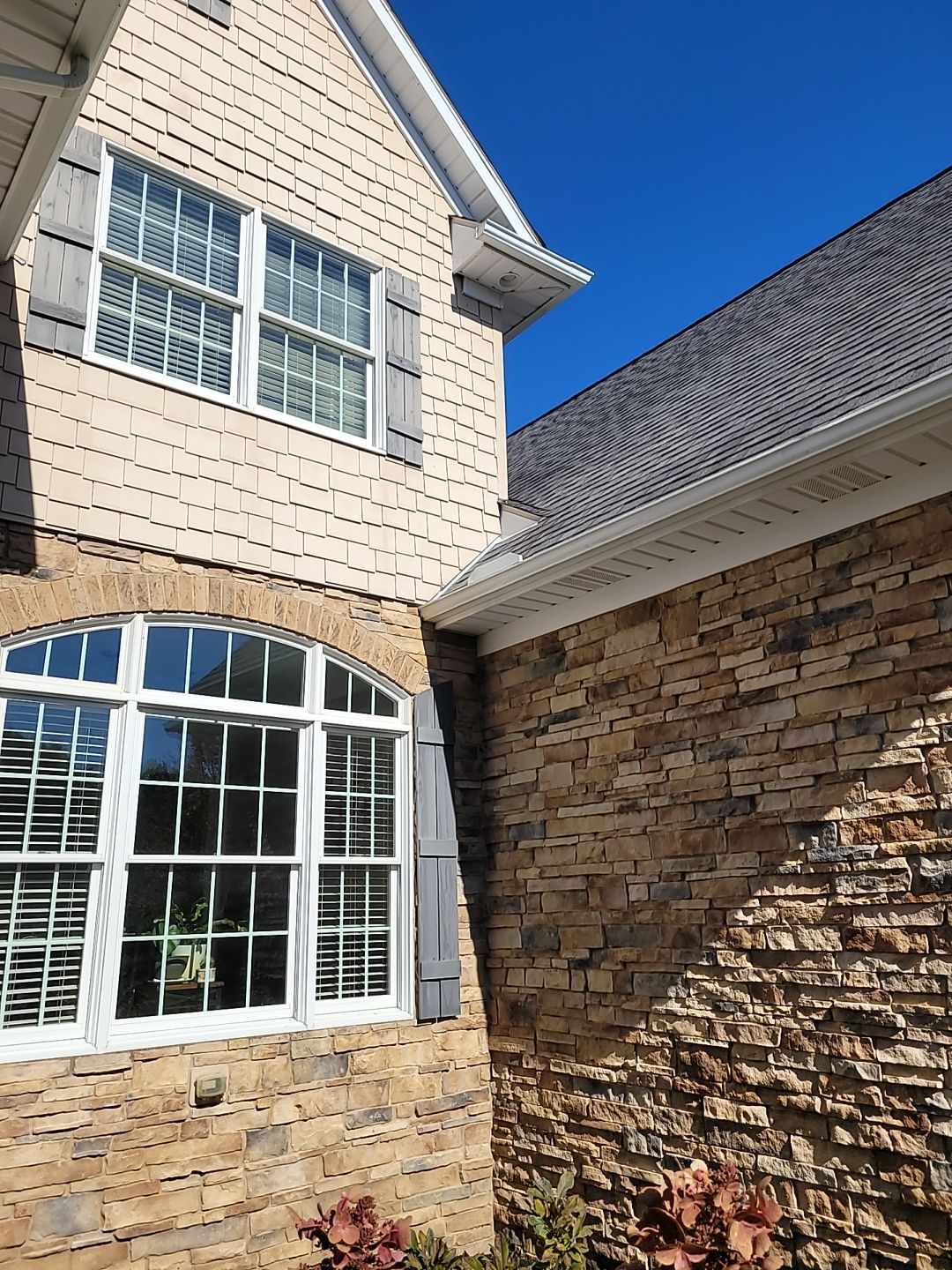 Drew Brignac by Silver Leaf Contracting 