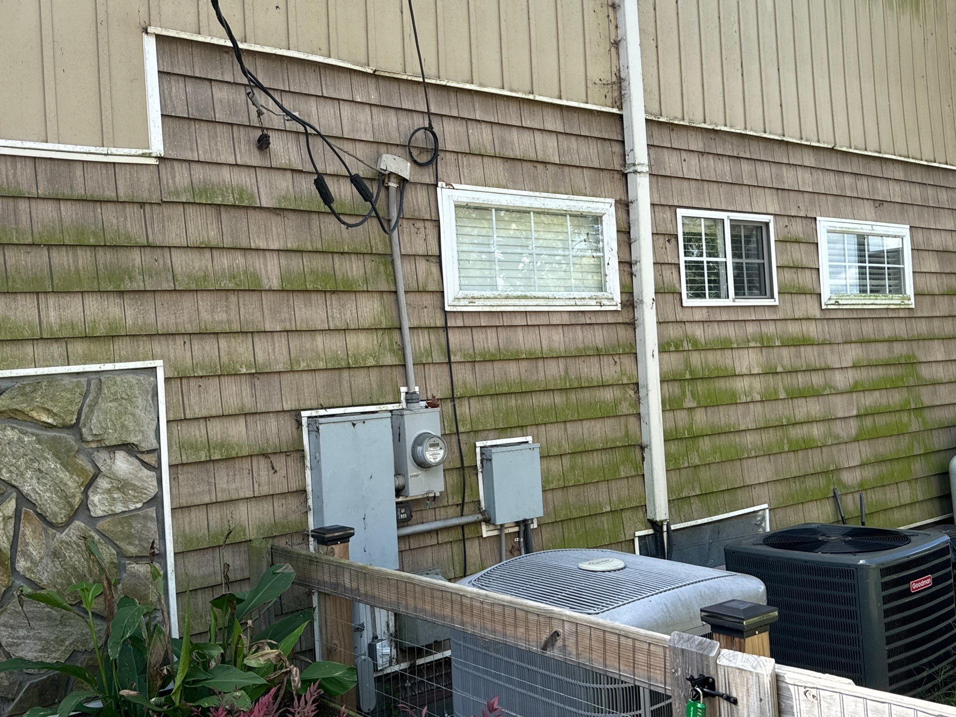 the service being done is cleaning the exterior siding to remove mold and algae buildup using pressure washing techniques