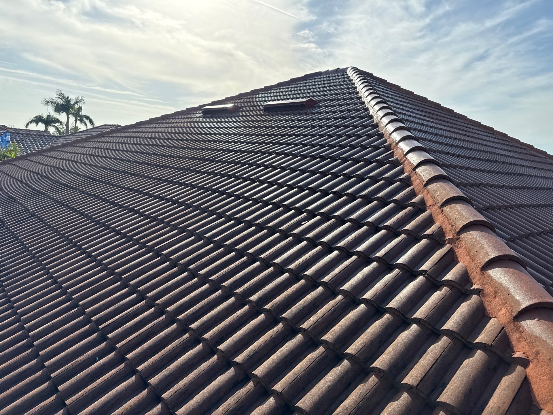 Roof Cleaning & Gutter Brightening | The Inlets Community | Manatee River | Bradenton, FL by Sunshine AquaWash