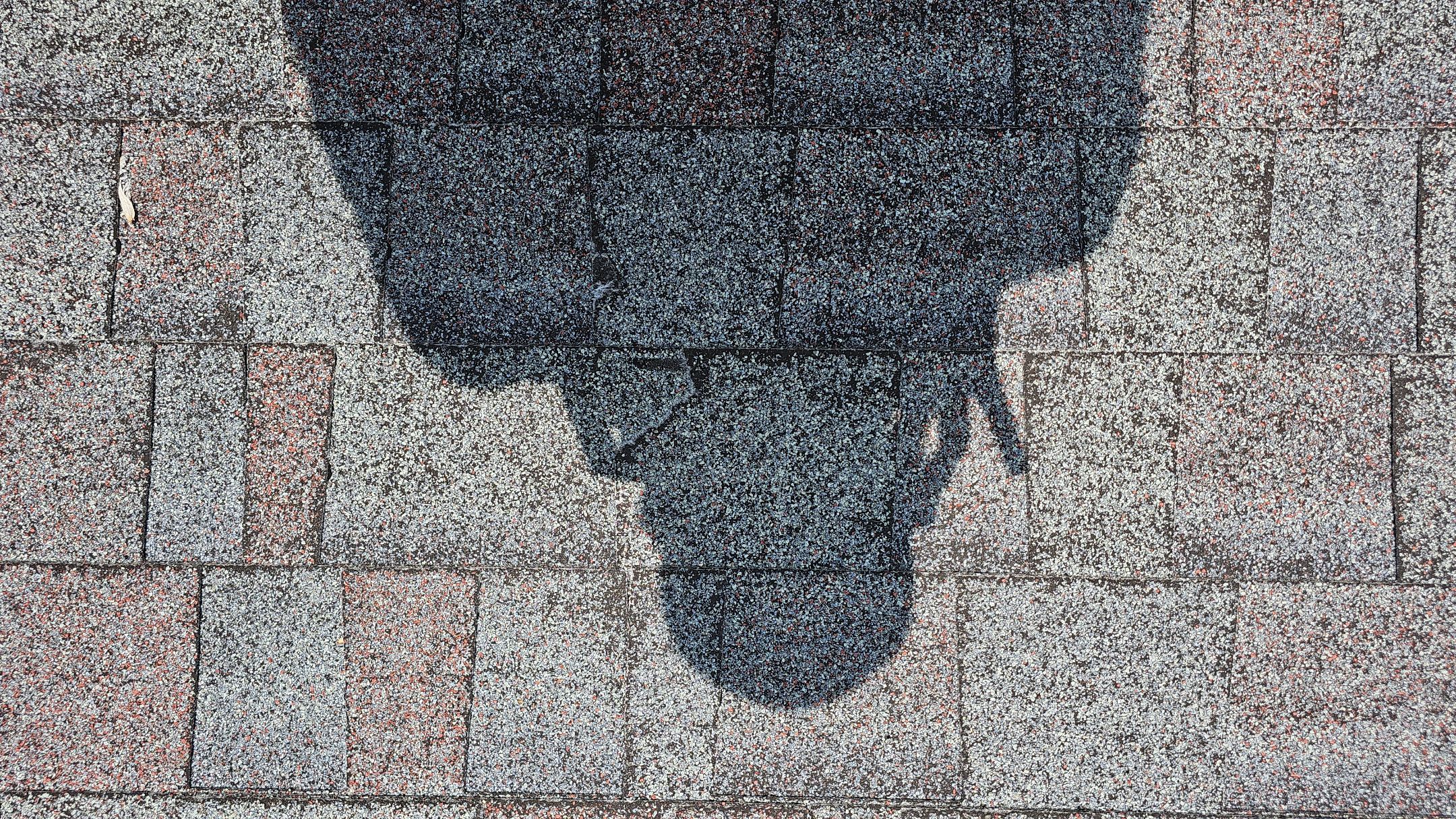 ATLAS PINNACLE COLOR: SCOTCHGARD BLACK SHADOW by Eagle Eye Roofing