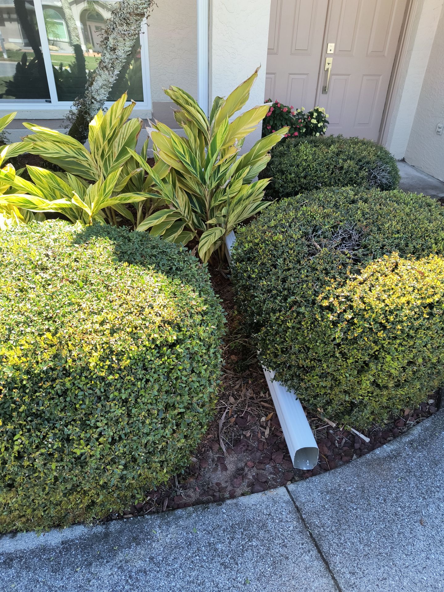 White Seamless Gutters using 6 Inch Seamless Gutters in Sarasota FL by Gutter Professors