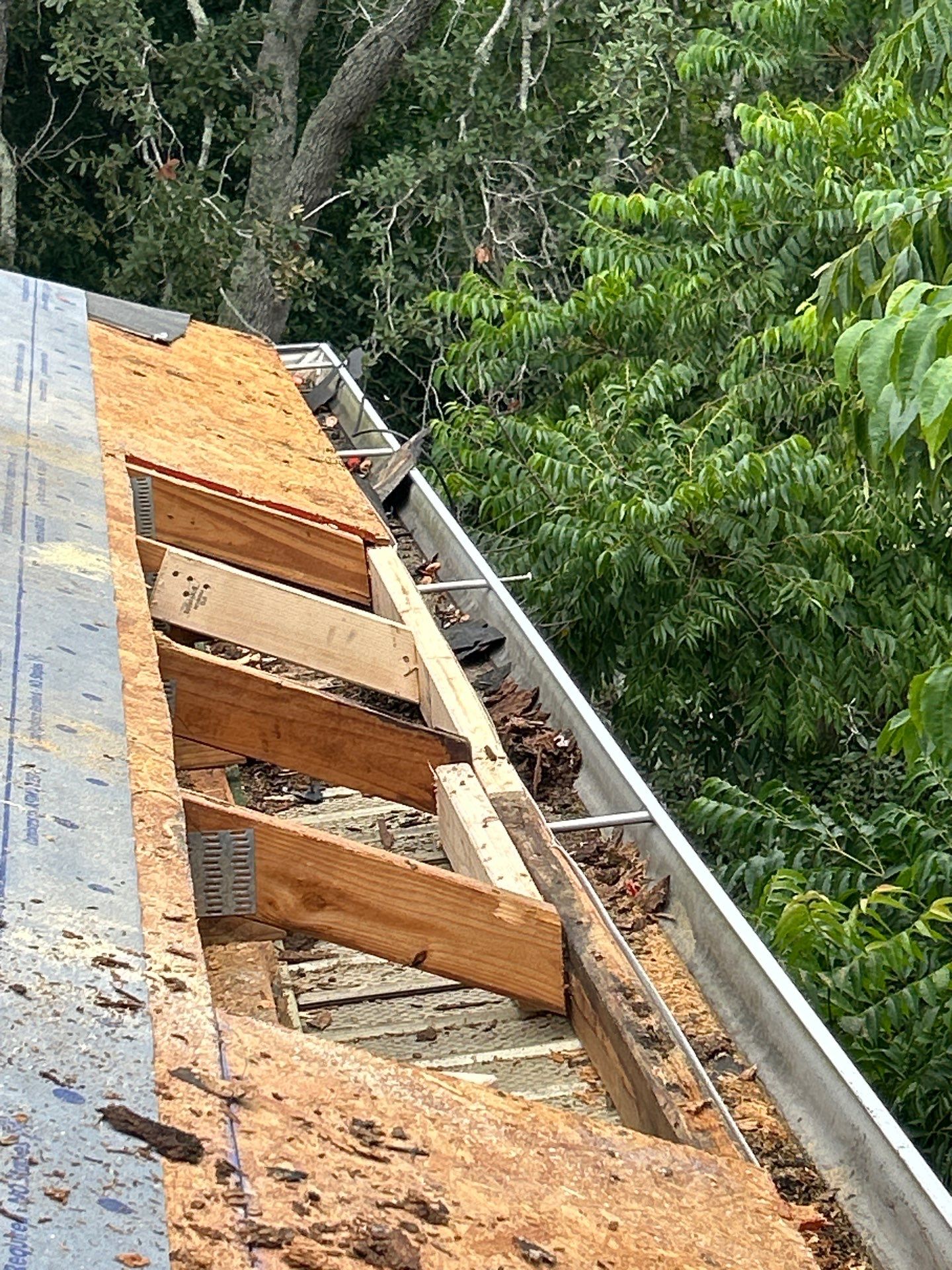 Deltona Roof Replacement Featuring Copper Canyon Shingles and Decking Repair by Pinnacle Roofing Group