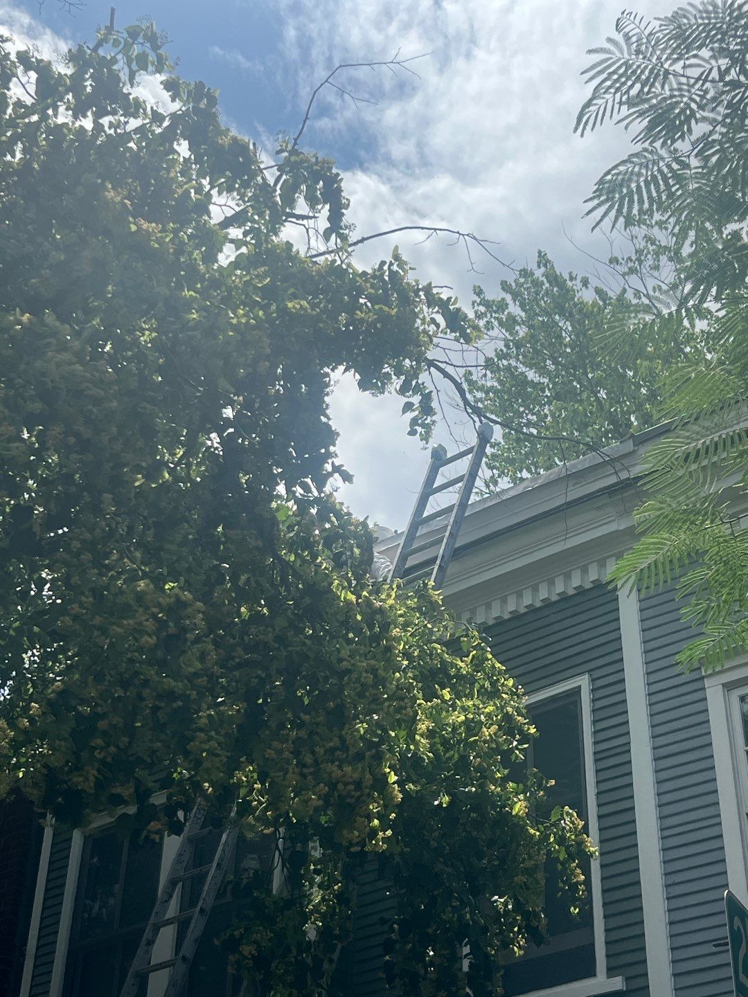 Alexandria: Siding Replacement with Solid Pine Wood Lap Siding by RM Banning, Inc.