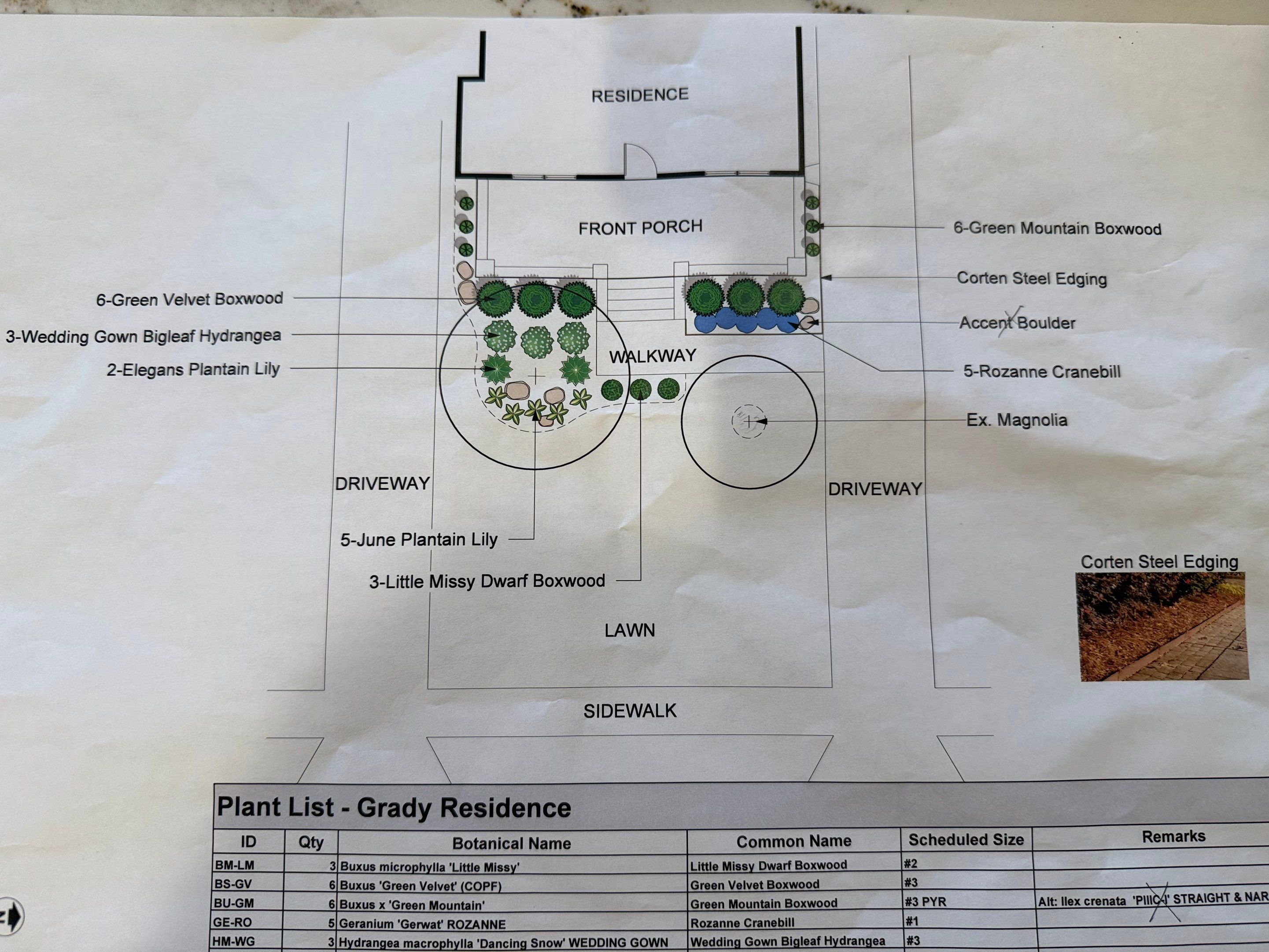 Modern Magnolia Project by Elm Rose Gardens