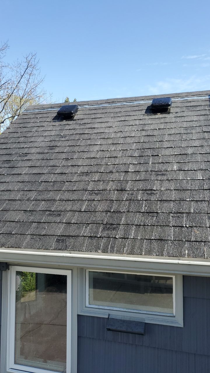 Multi-surface wash by Willamette Outdoor Wash LLC