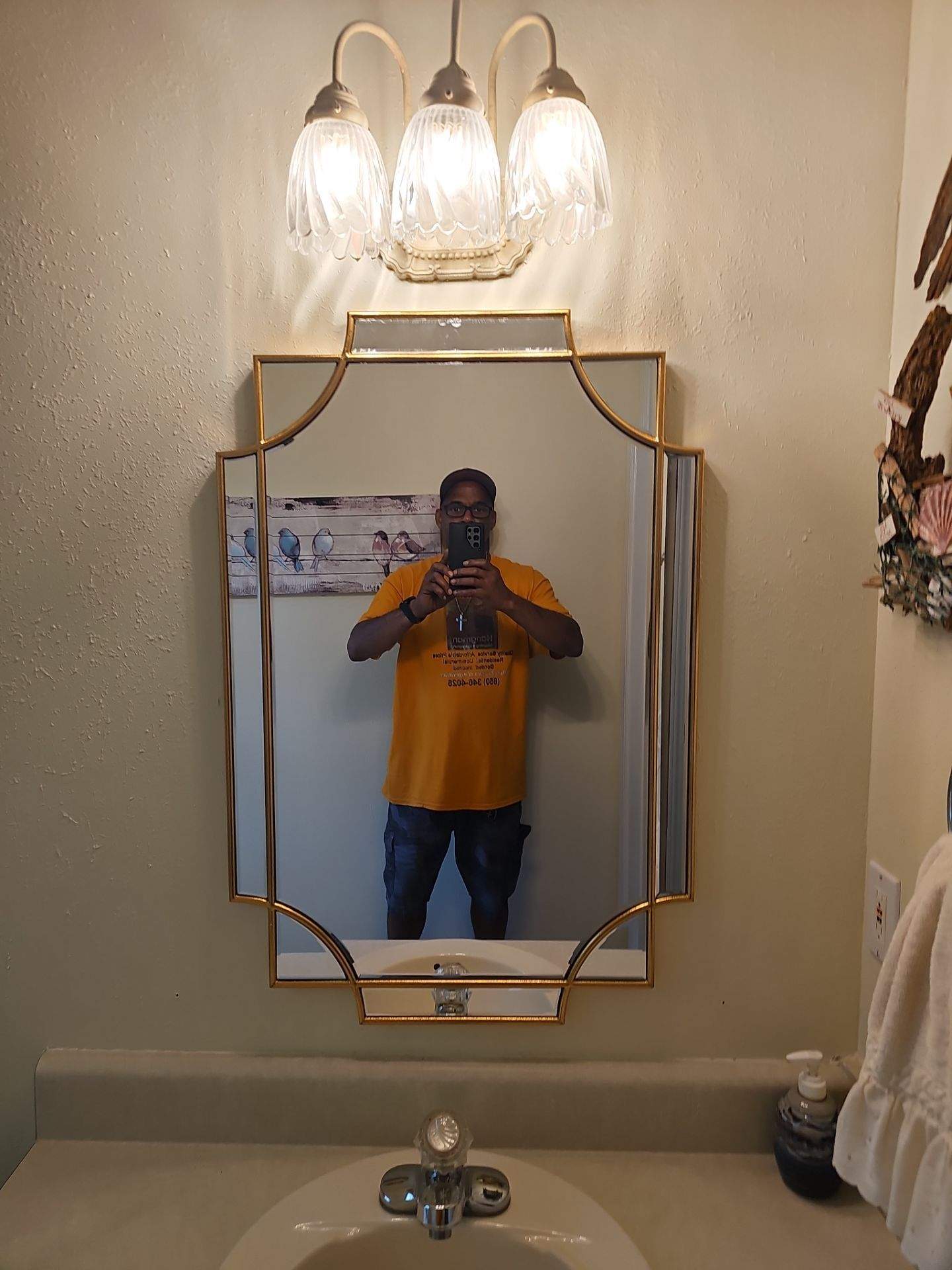 Art & Mirror Hanging Projects by Hangman Mounting & Installation 