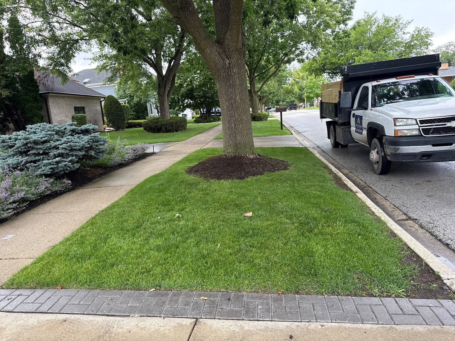 Laura C. - Mount Prospect, IL by A&N 