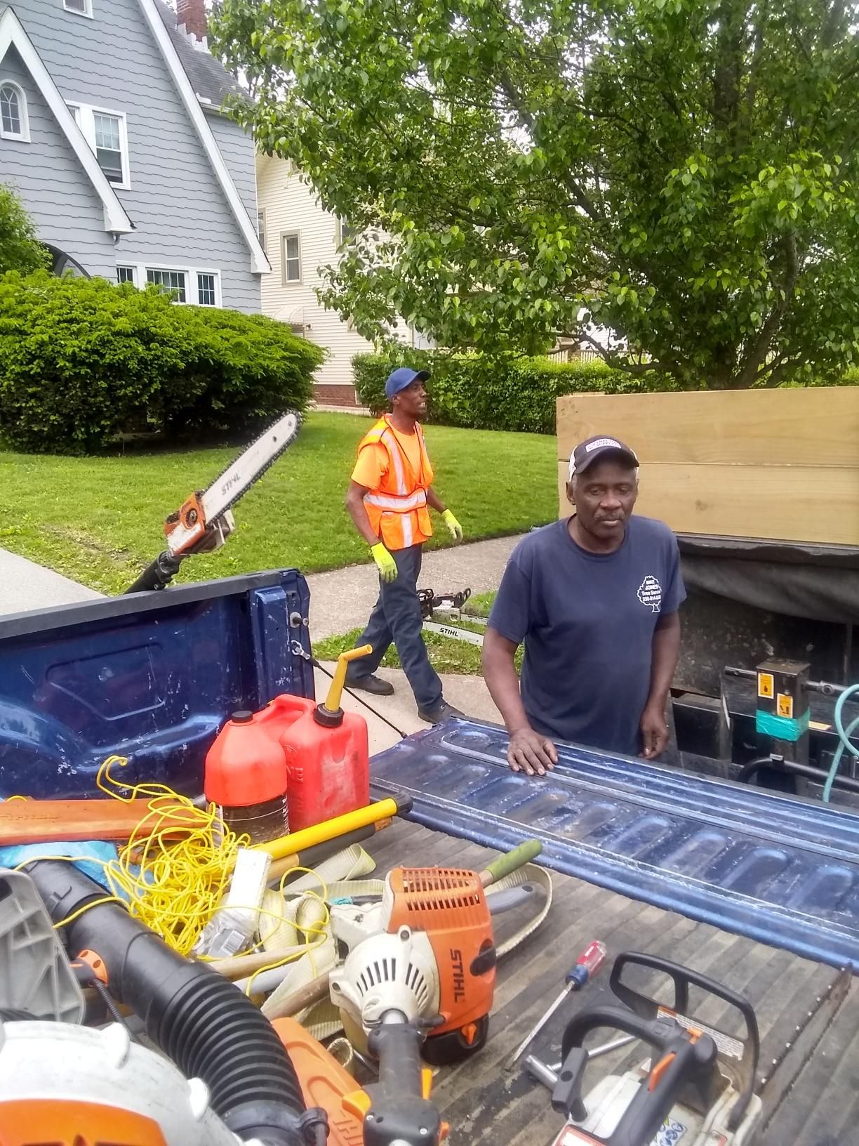 Tree Removal using Tree Removal by Mike Jones & Sons Tree Service LLC 