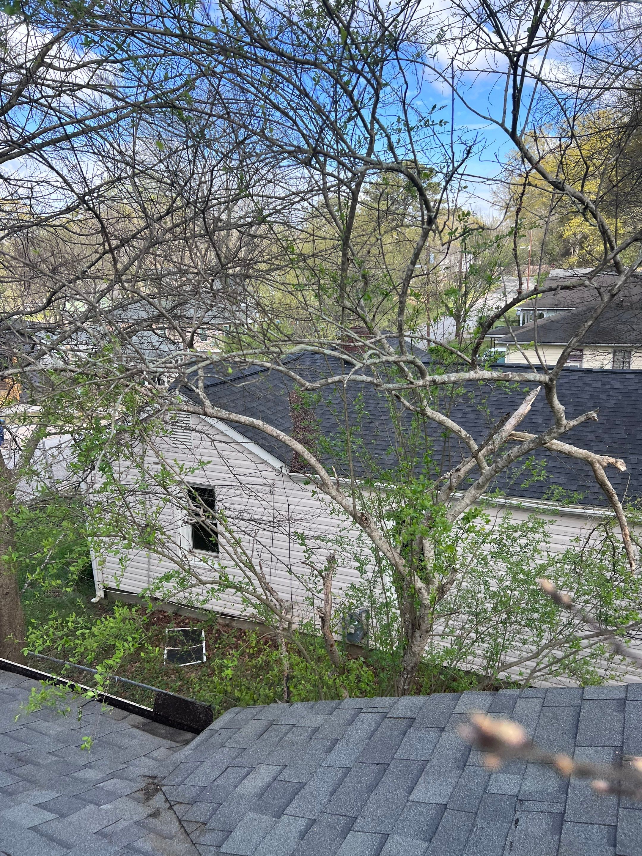 Gutter Cleaning using brown bags by Roof Bullies
