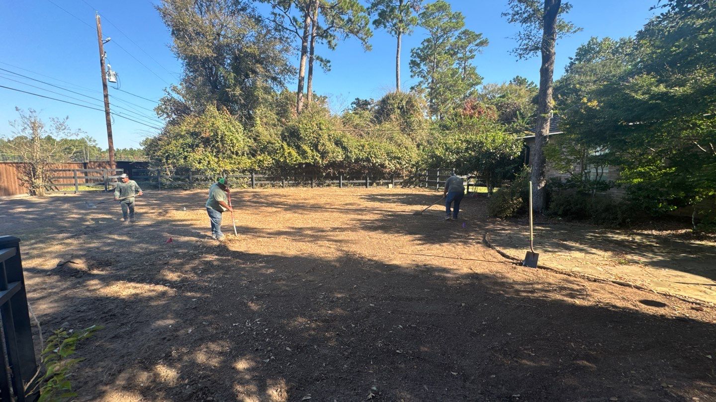 Mr. Jeff — Backyard Drainage & Grading Improvement by Texas Urban Elements