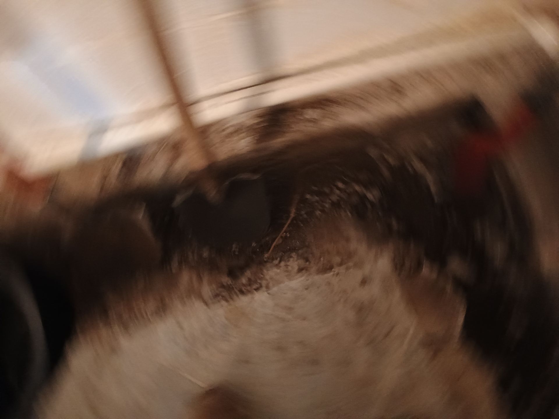 Drain Tile & a Sump Pump for our Property Management Partner by Waterproofing Northeast