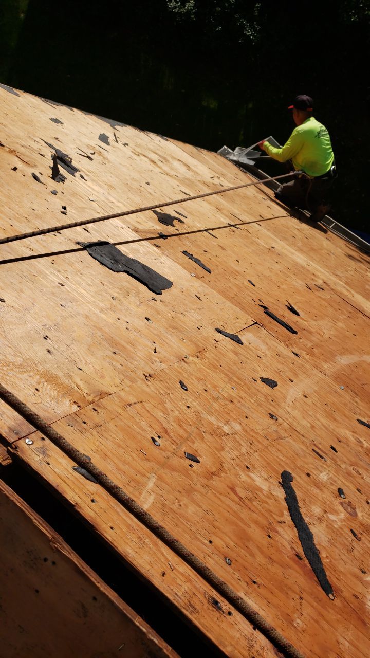 Springfield Certainteed Landmark Pro Designer Shingles by RM Banning, Inc.