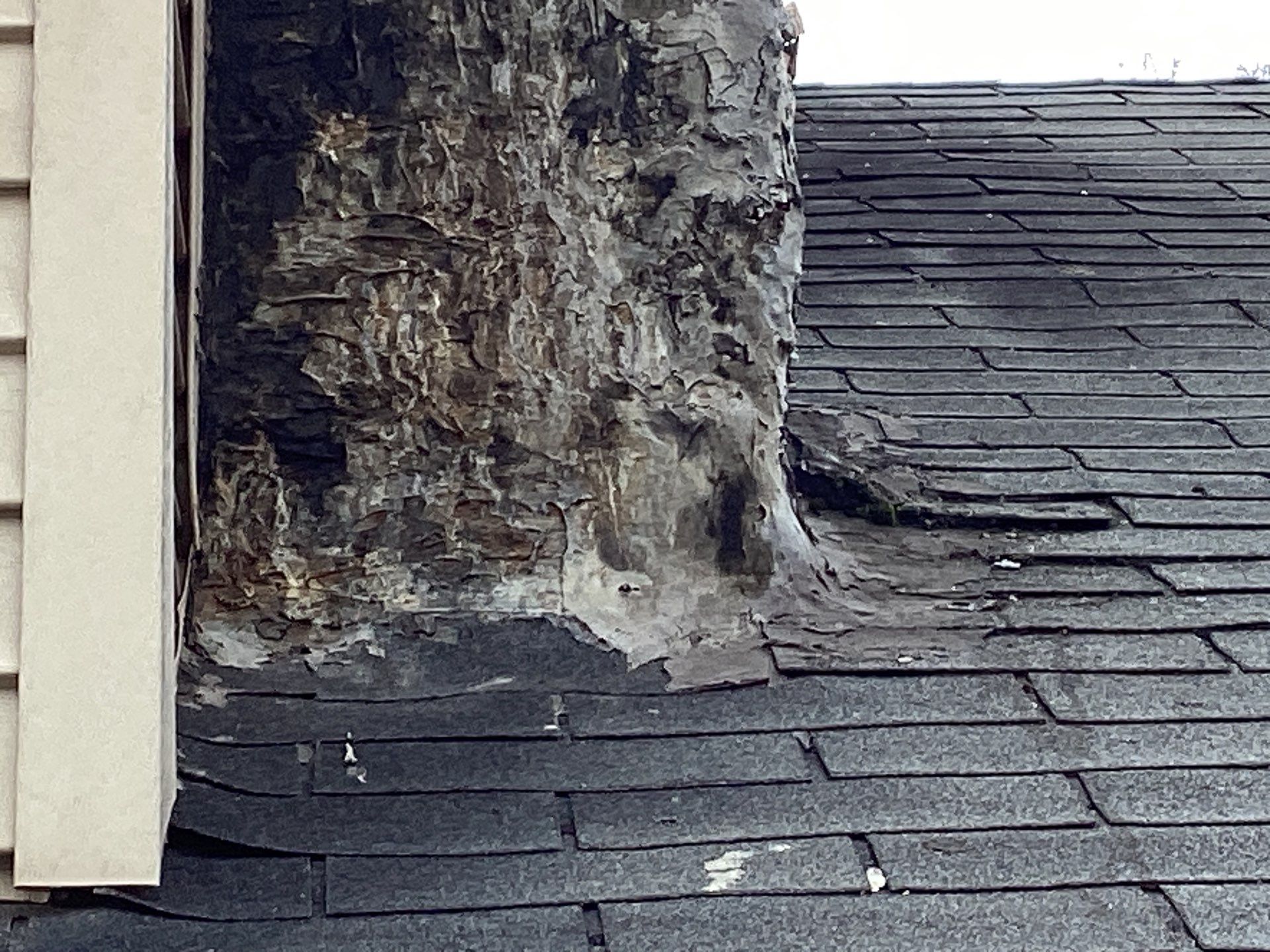 Residential Roofing Installation using GAF TIMBERLINE HDZ by Avalon Roofing and Exteriors