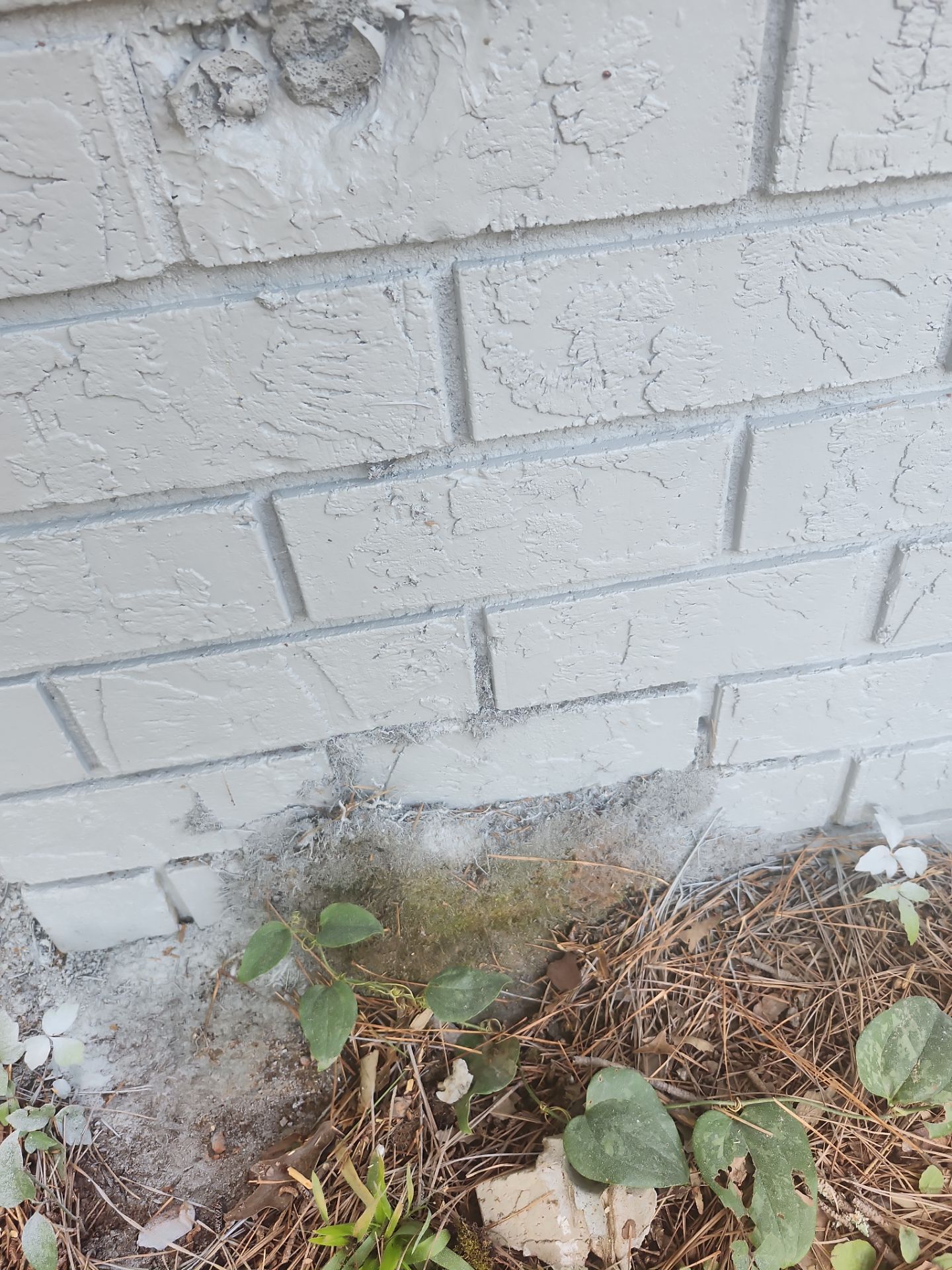Project in Riverdale, GA by Task Masters Handyman Services, LLC
