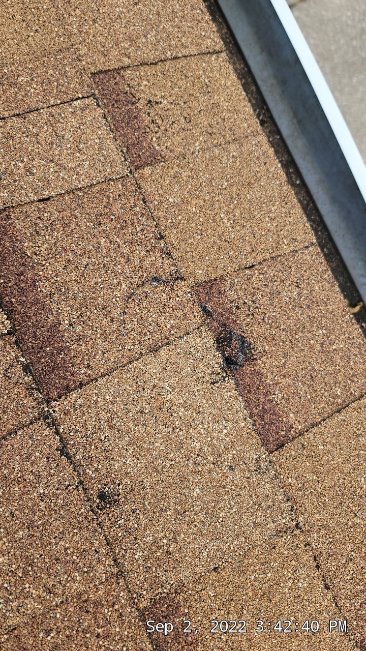 ATLAS PINNACLE COLOR: MORNING HARVEST DRIPE EDGE: WHITE by Eagle Eye Roofing