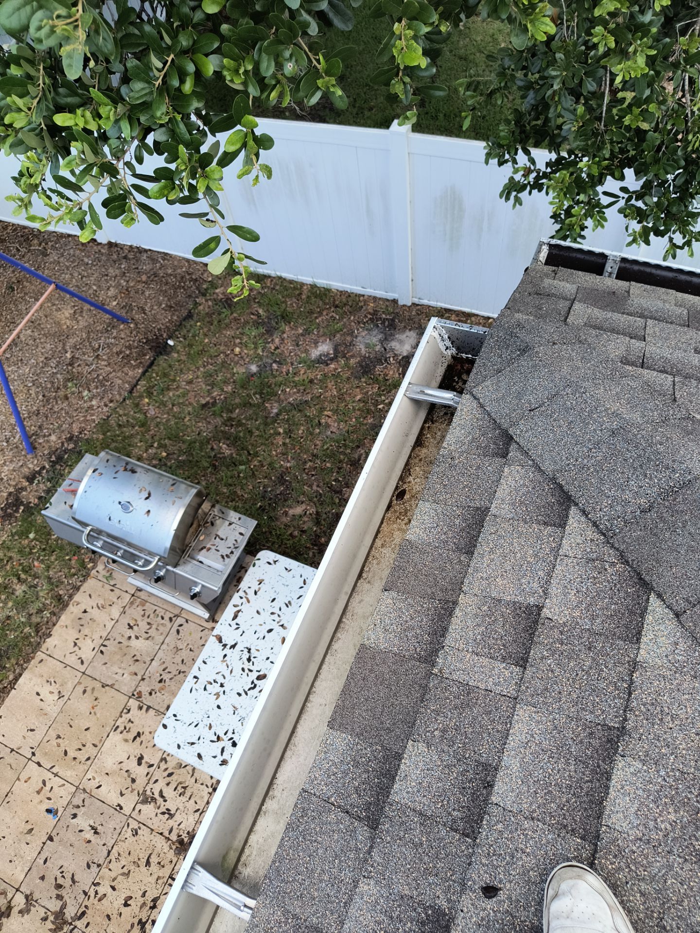 Professional Gutter Cleaning in Lutz FL by Gutter Professors