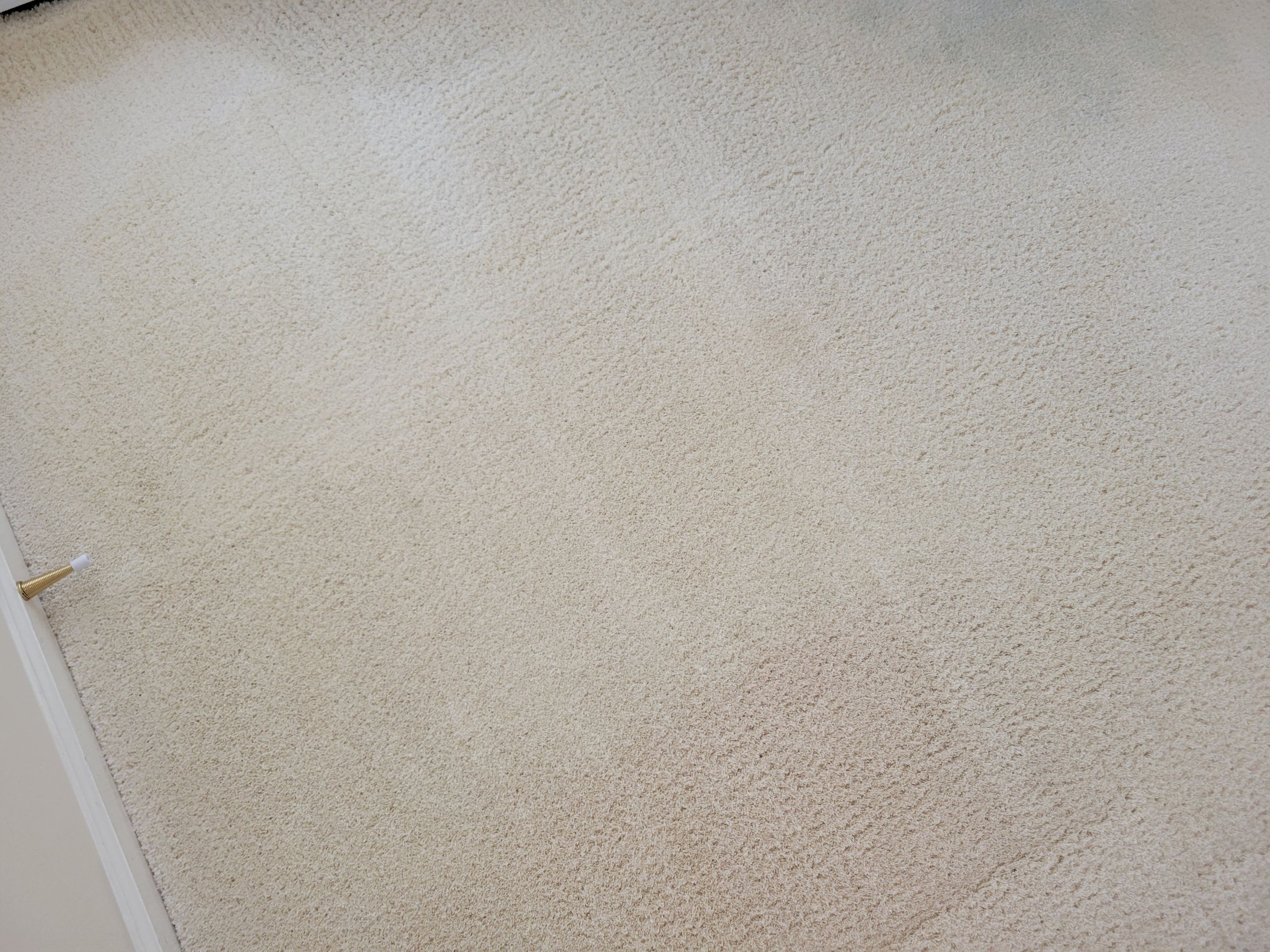 Highly Reactive, Jute Backed Carpet by Ardent Carpet Restore LLC