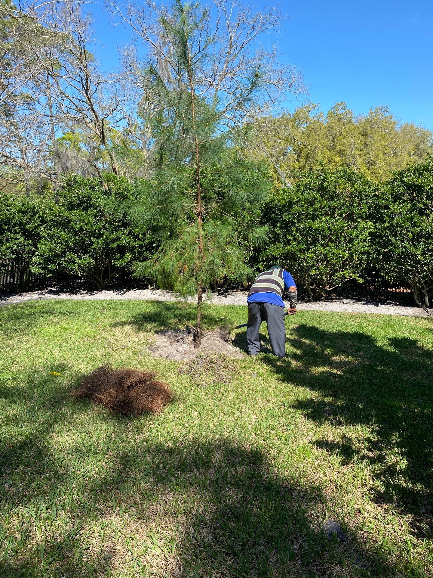 Deerwood Resident | Tree Service by ProGreen Services