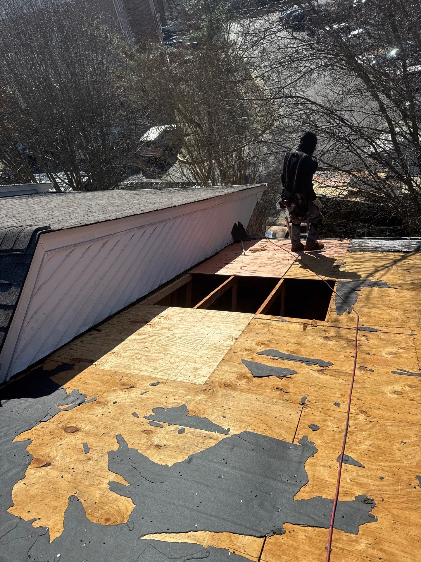 Burke: Residential Roof Replacement with CertainTeed Landmark Pro in Max Def Moire Black by RM Banning, Inc.
