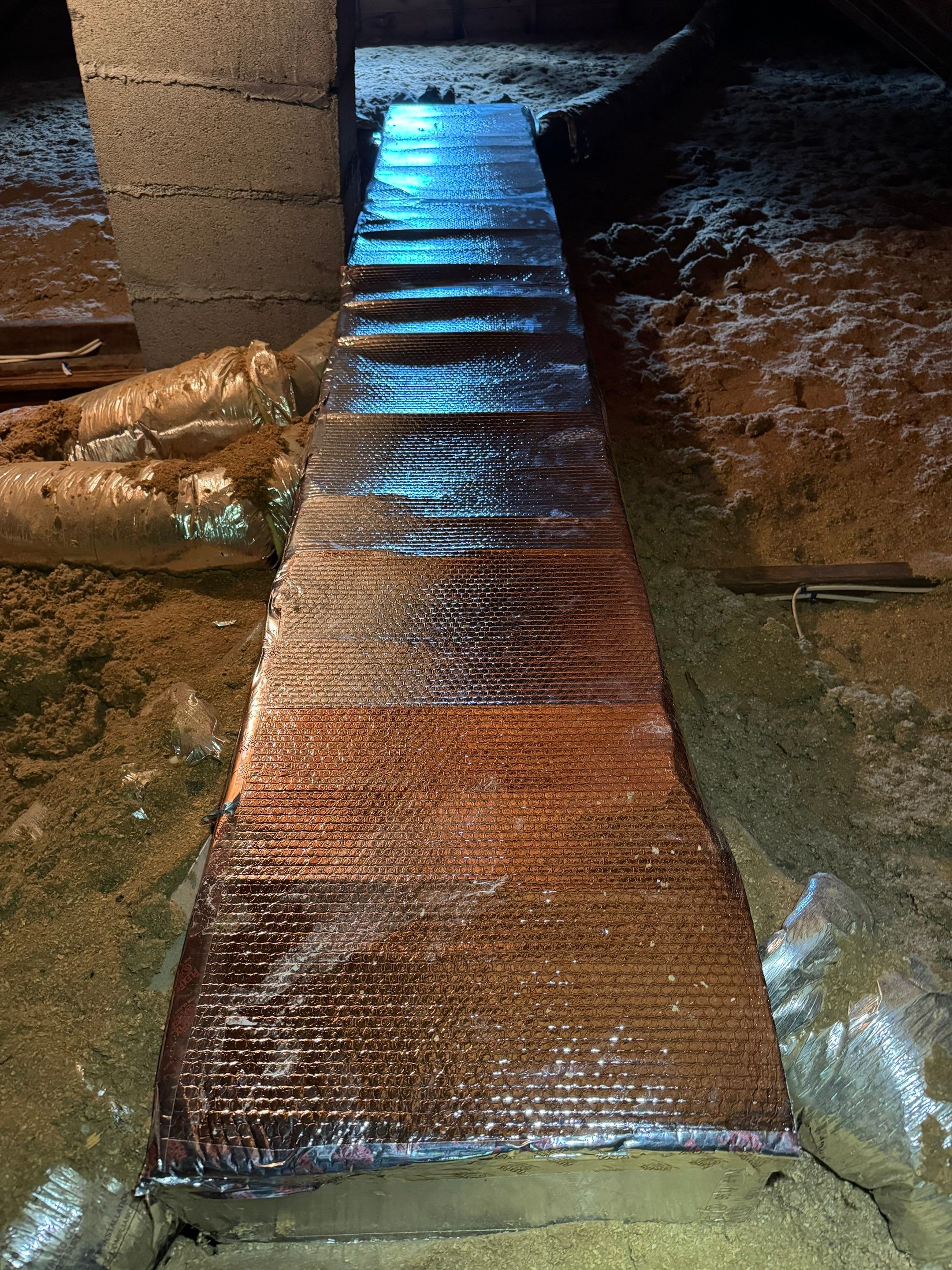 Mold Remediation (Basement) using Home Guarantee by Home Guarantee, LLC