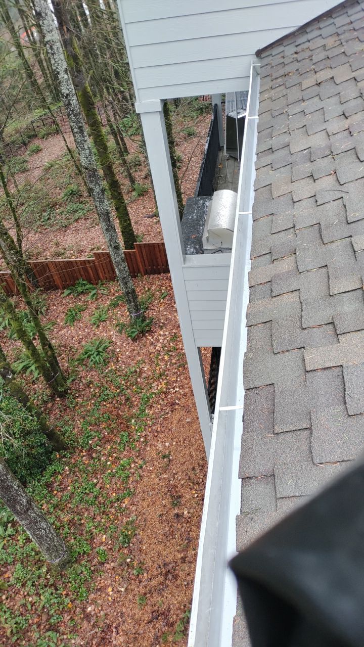Gutter Cleaning by Paul Schopp