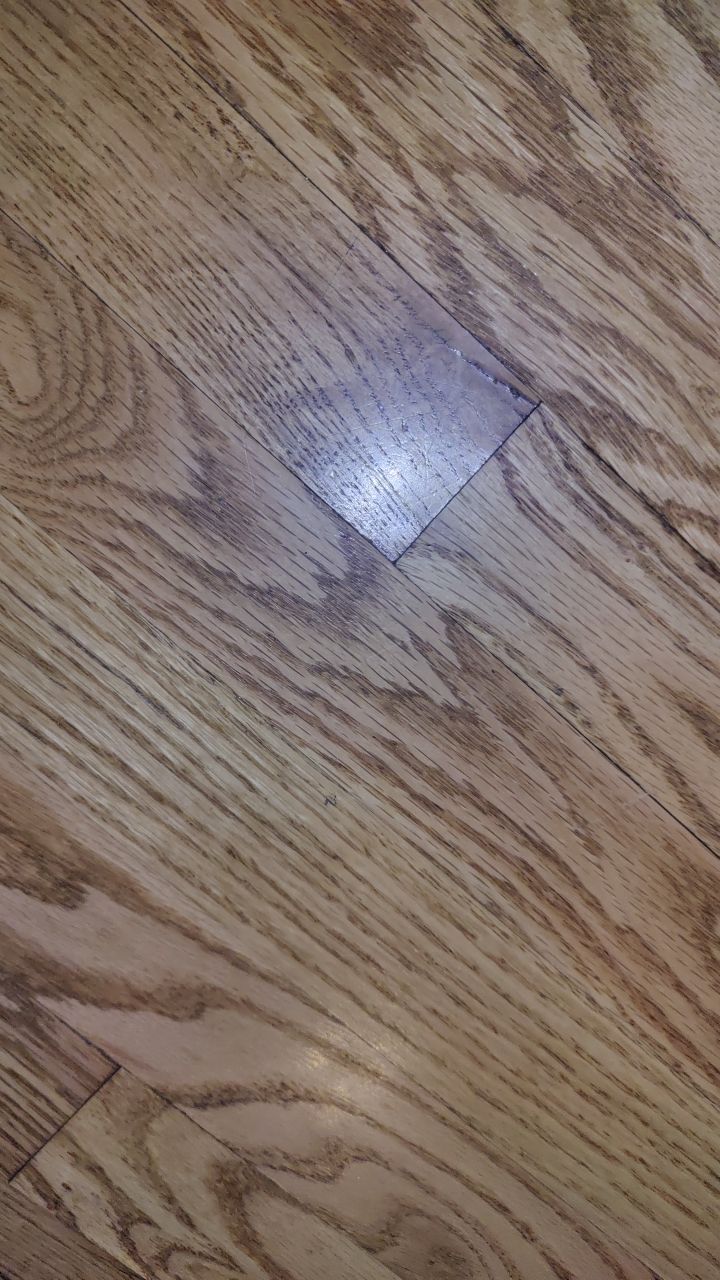 Water Damage by Accountable Home Services