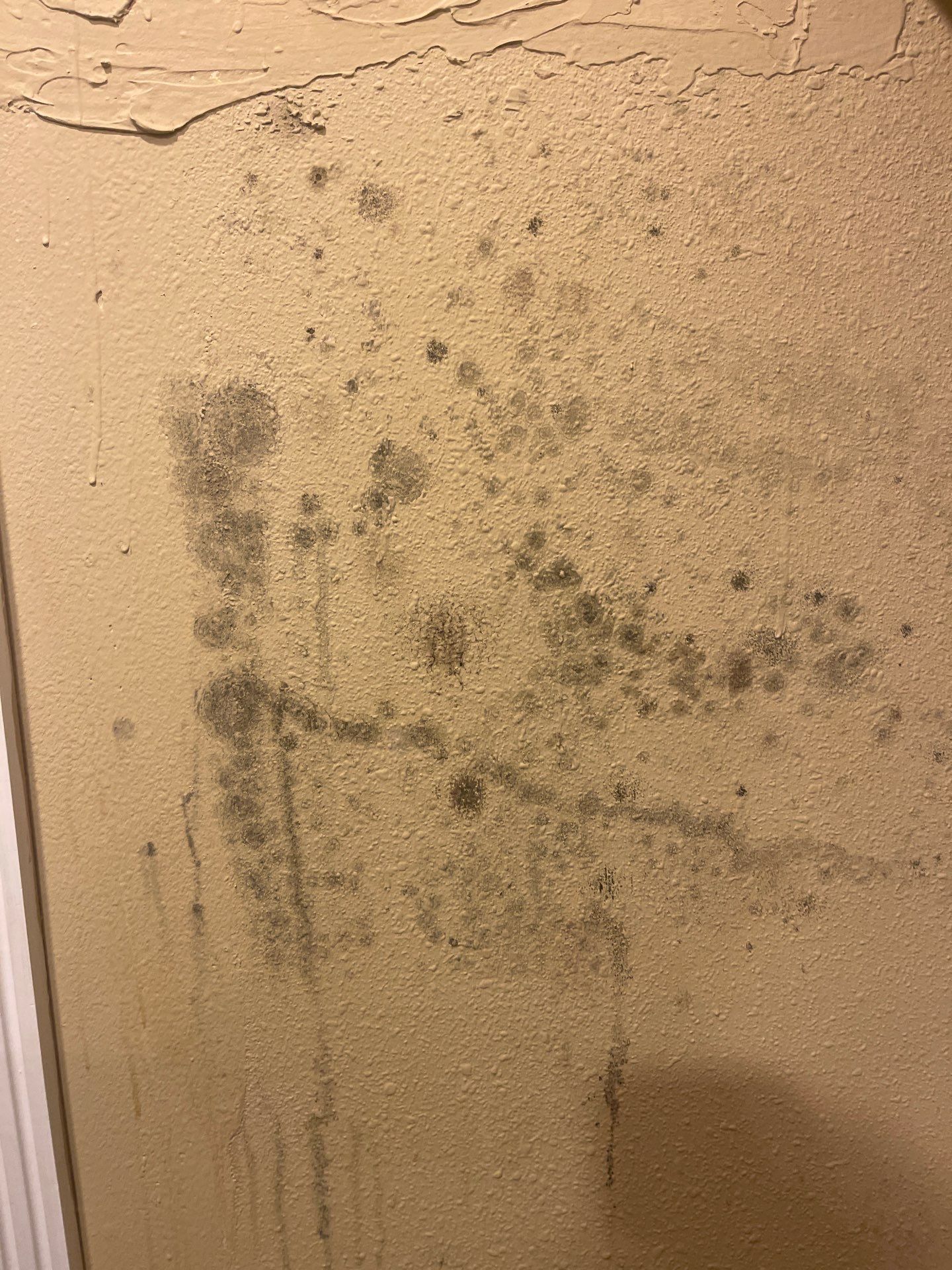 Mold remediation and rebuild of kitchen and living areas by Bay Coast Restoration 