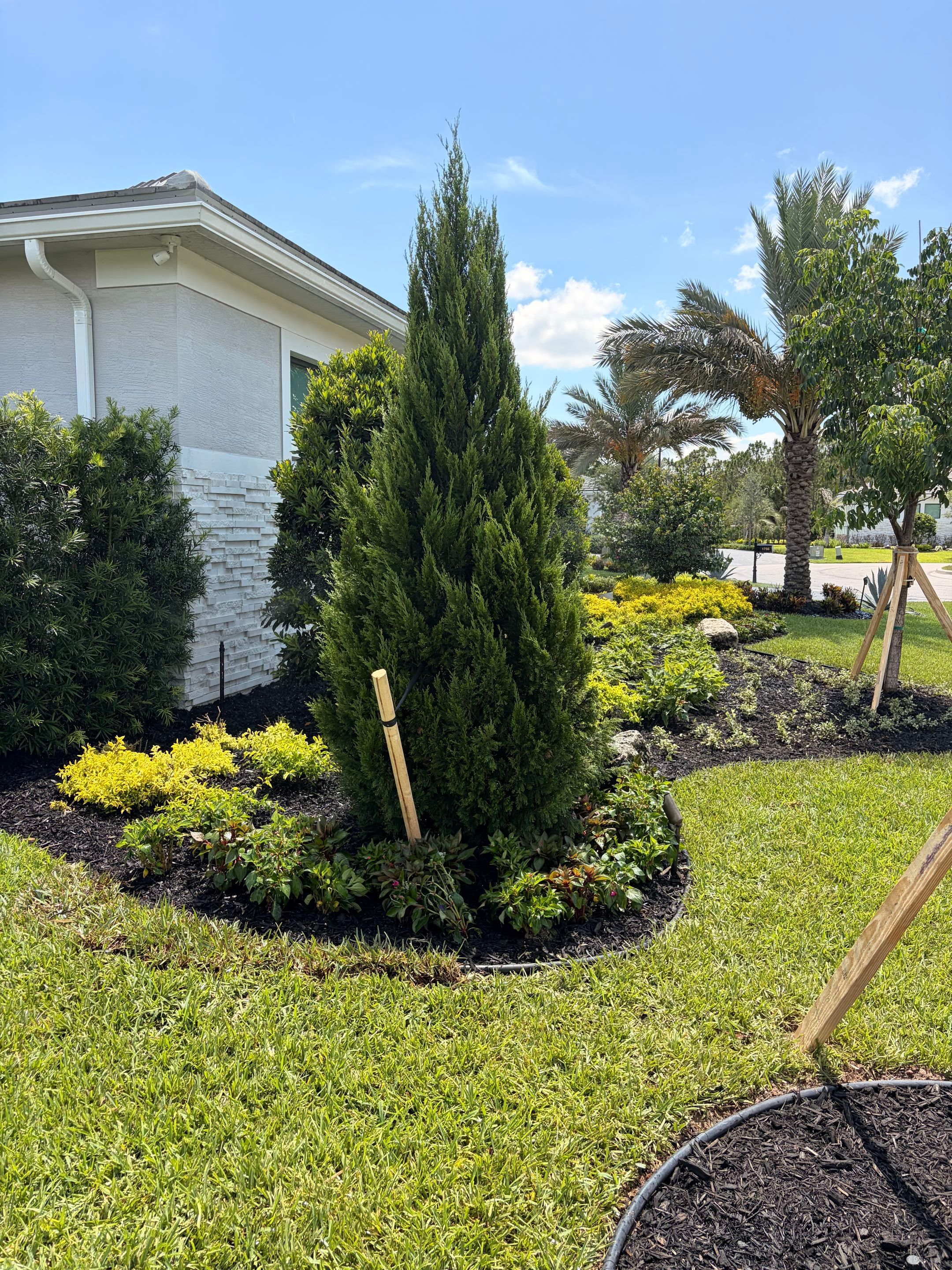 🌴✨ Canopy Creek Landscape Transformation! ✨🌿 by Alpha Zeta Enterprises Inc