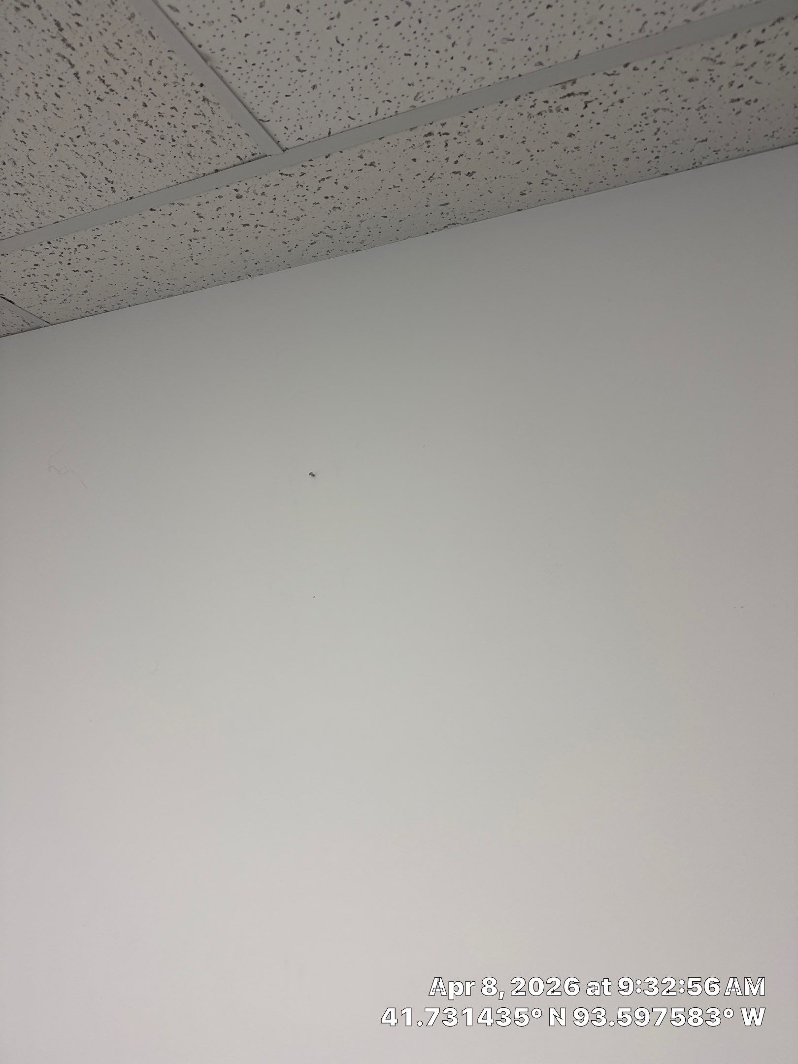 Commercial Office Repaint  by Midwest Paint LLC