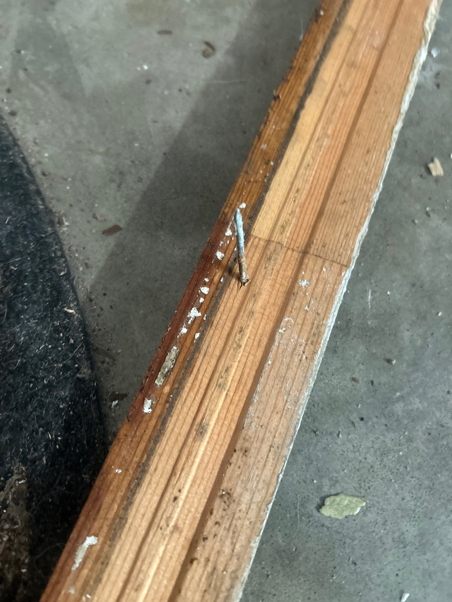 Sarasota Water Damage Repair by Ampm Restoration Services 