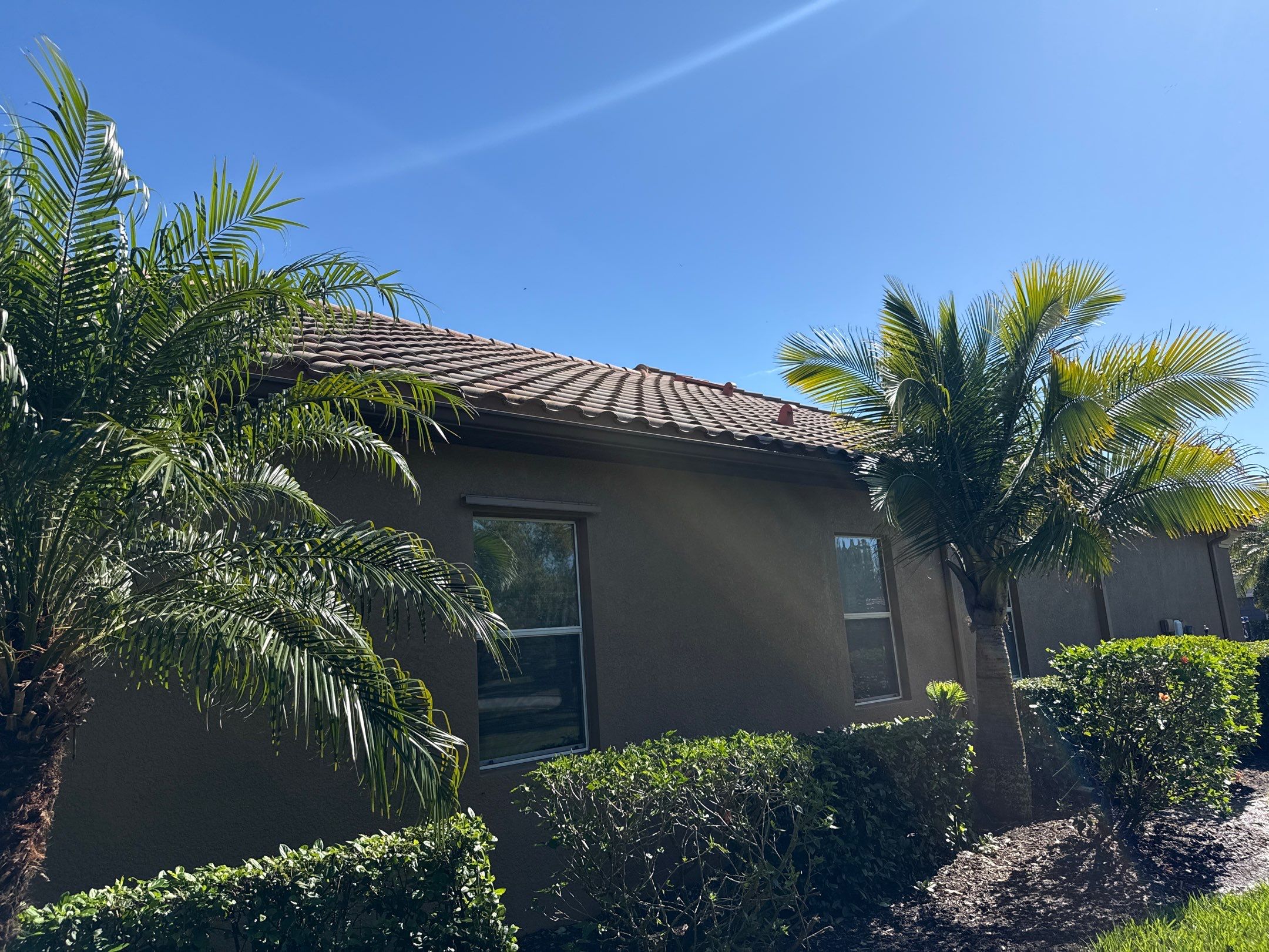 This project focused on a full gutter clean-out to restore proper water flow and prevent overflow issues.  Our scope of work included: 	•	Removing heavy leaf and pollen buildup from the gutter system 	•	Clearing out clogged sections along the rear gutters near the pool cage, where debris tends to accumulate more heavily 	•	Inspecting and cleaning the front gutter guards, which had several blocked areas restricting water flow 	•	Ensuring all downspouts and channels were flowing properly after service  Even with gutter guards installed, debris like pollen, shingle grit, and fine organic matter can still build up over time—especially in Florida’s environment. Regular maintenance helps prevent water damage, overflow, and staining on exterior surfaces.  Another thorough job completed by Sunshine AquaWash® – keeping homes protected from top to bottom. by Sunshine AquaWash