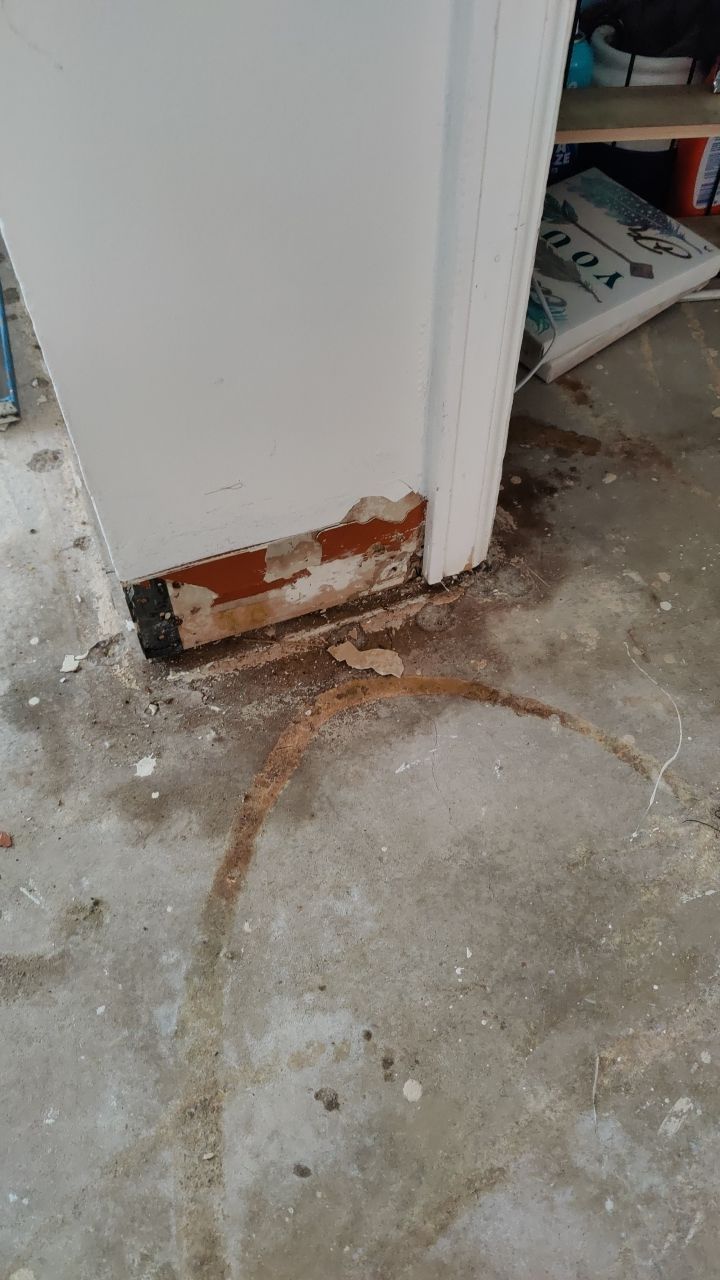 Mold Remediation by Accountable Home Services