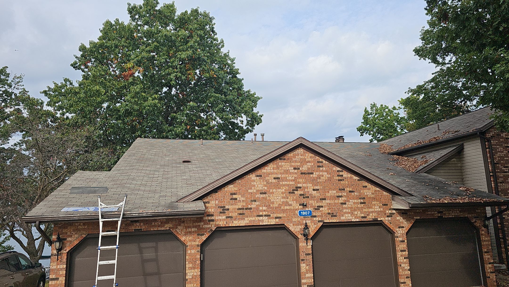 Atlas Pinnacle, Color, Copper Canyon, Drip Edge, Royal Brown by Eagle Eye Roofing