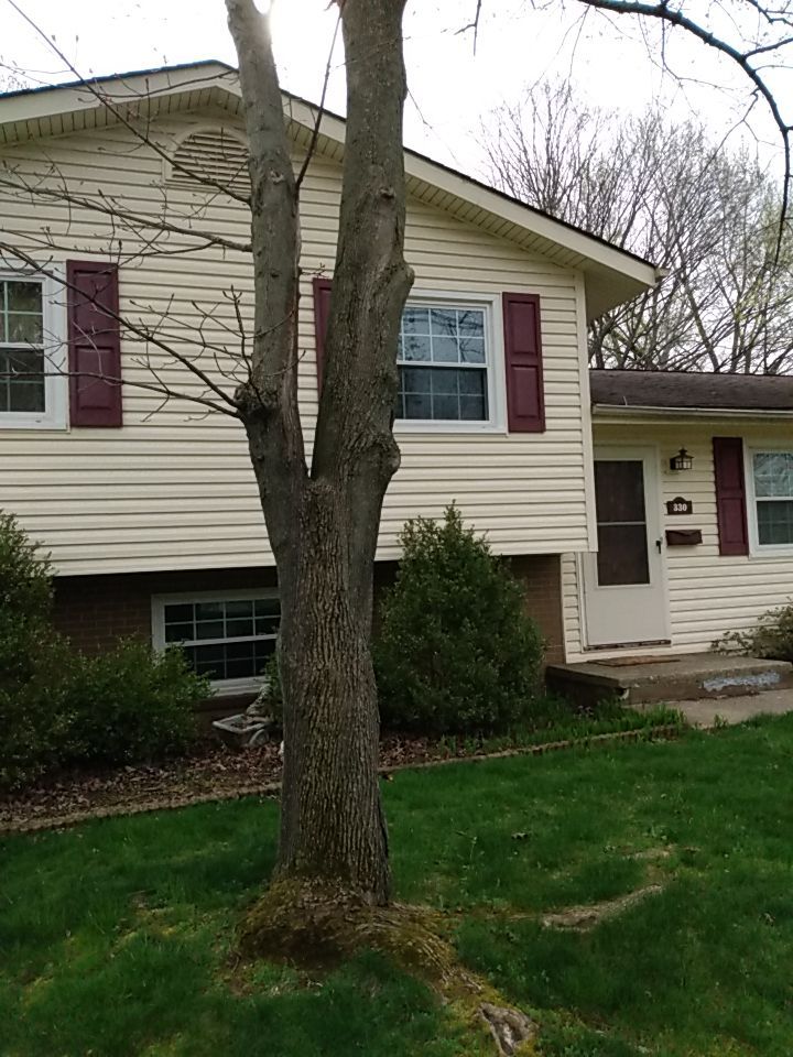 Tree Removal using Tree Removal by Mike Jones & Sons Tree Service LLC 