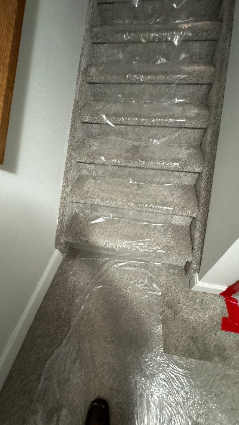 Mold Project in Thornton by Accountable Home Services