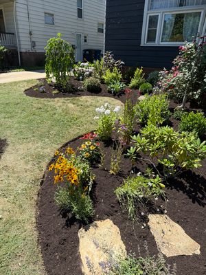 Tottenham Cottage Project