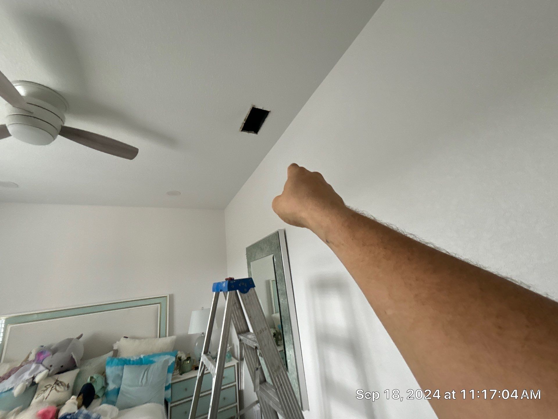 Nokomis Mold Remediation by Ampm Restoration Services