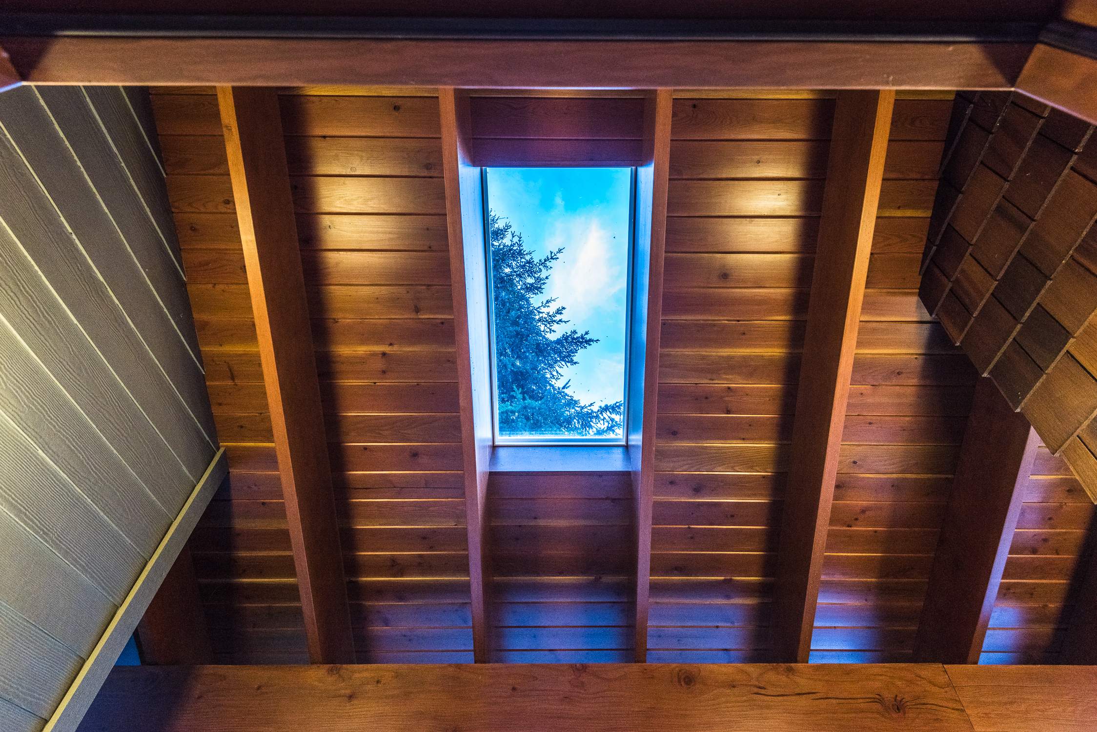 Madrona Drive Renovation by Camelot Homes