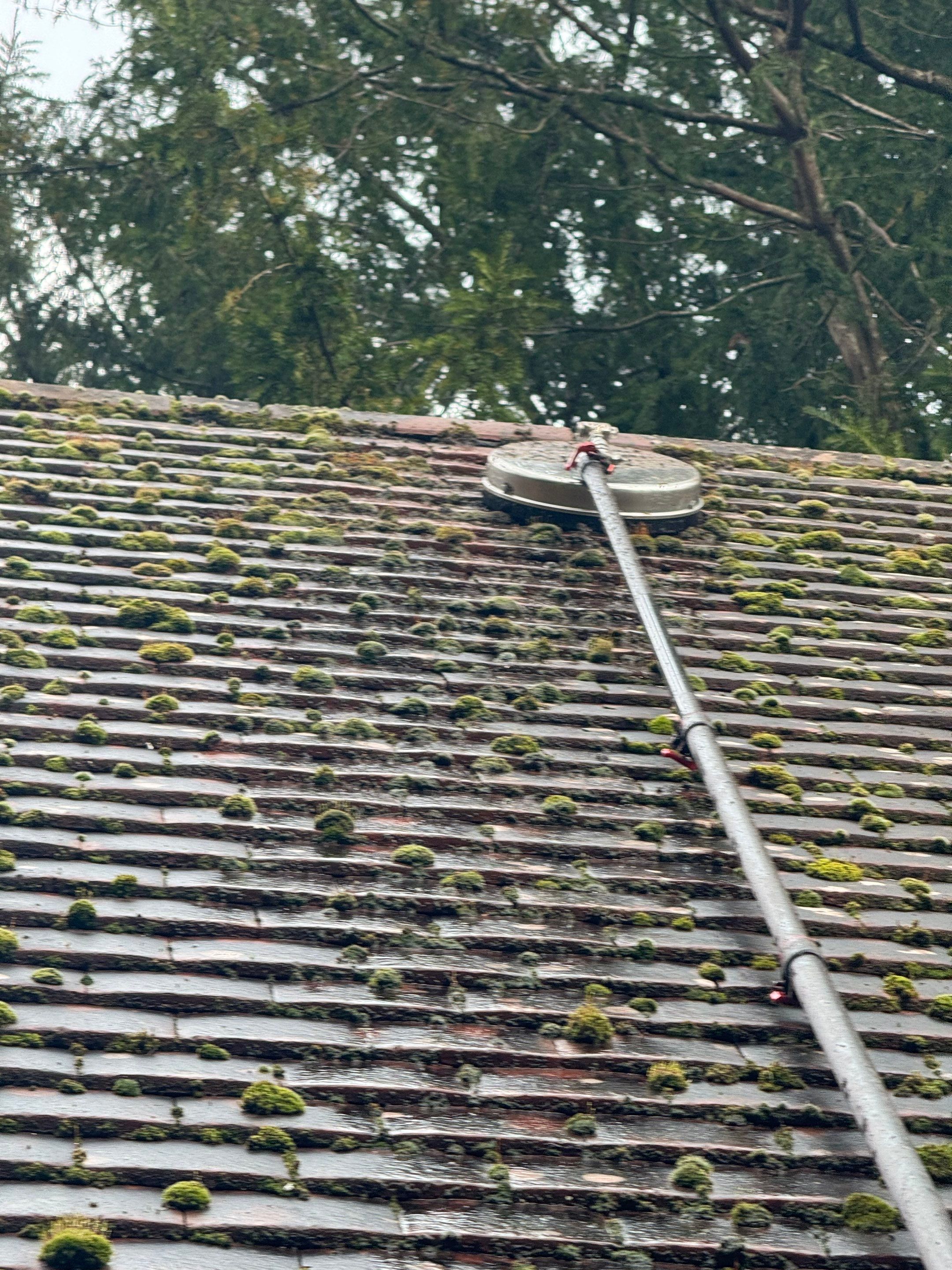 Roof and Patio Cleaning using Honda 15lpm Low Pressure Washing Machine by Ges Exterior Cleaning ltd