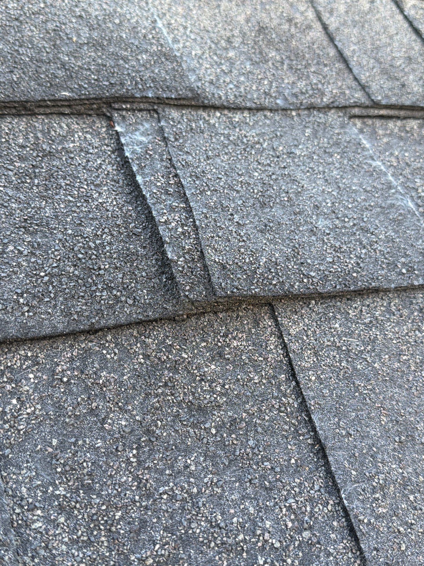 Susan Collins by United Contracting and Roofing