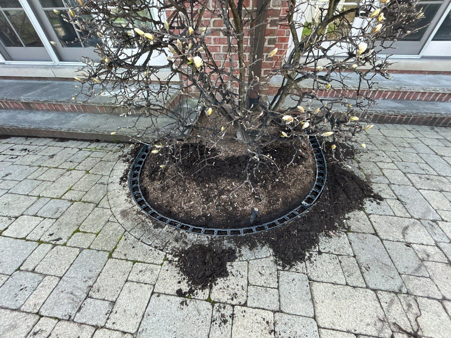 Brick paver repair, cleaning sanding and sealing by Northern Power Washing LLC.