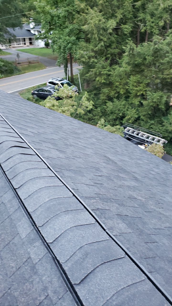 Alexandria Roof Project - CertainTeed Landmark Pro Max Def Charcoal Black Shingles by RM Banning, Inc.