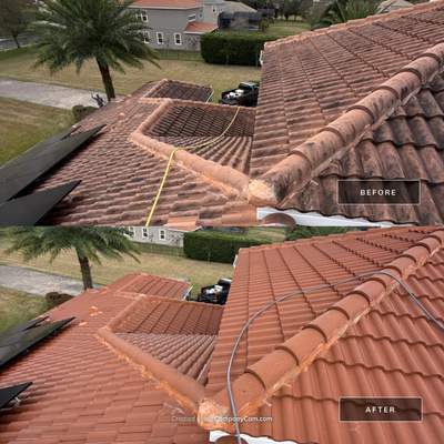 Tile Roof Cleaning