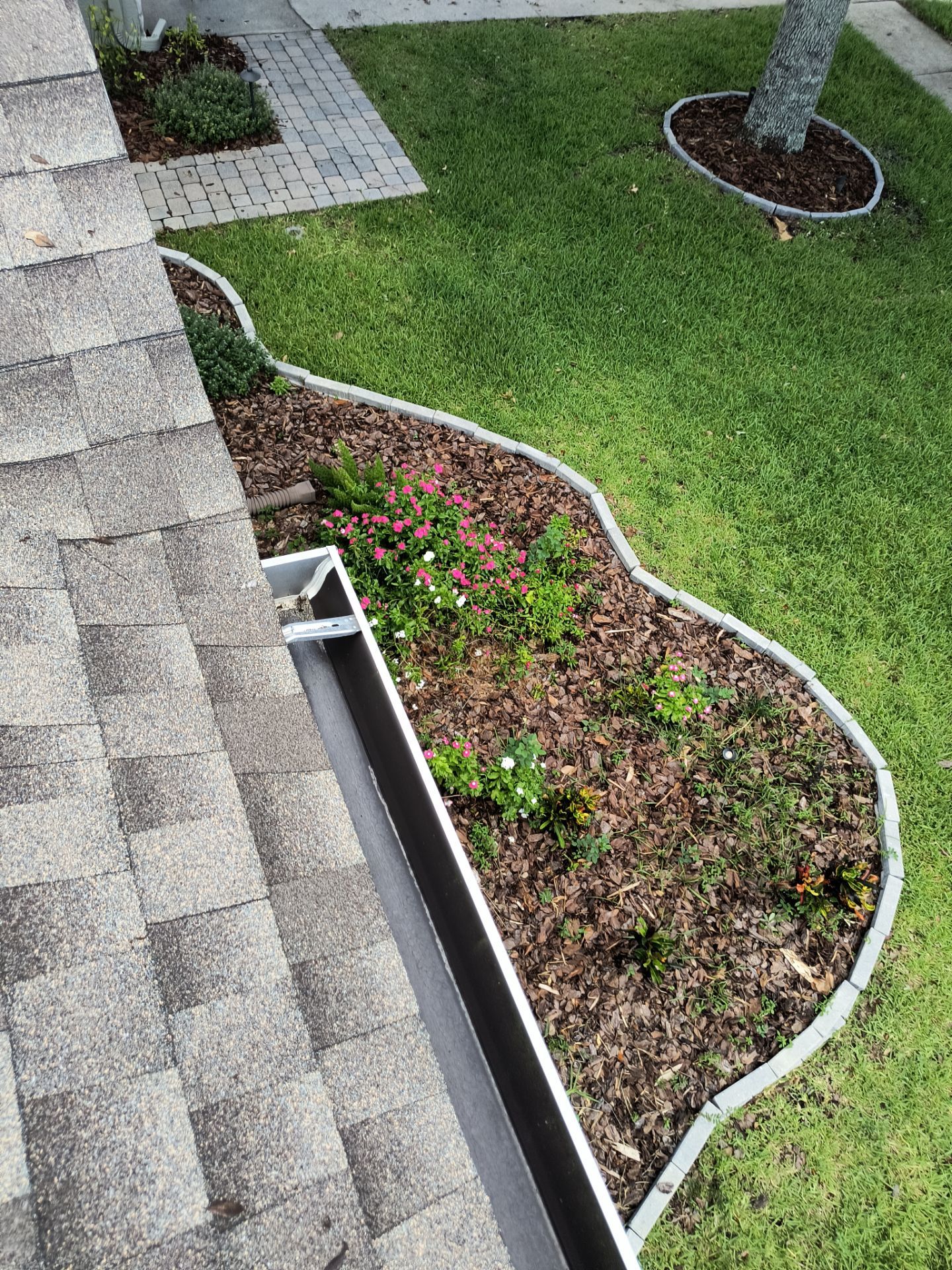 Professional Gutter Cleaning in Lutz FL by Gutter Professors