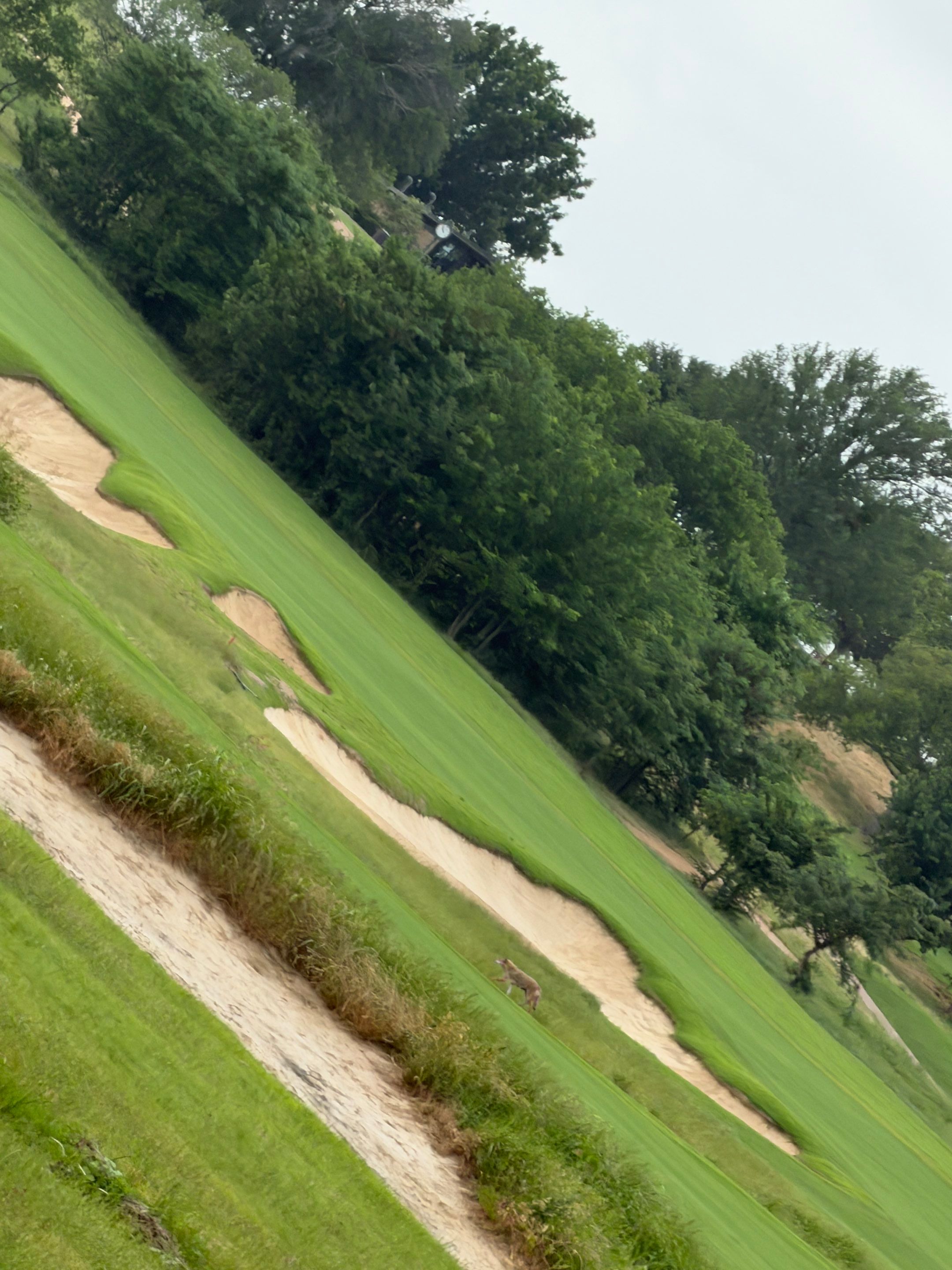 PGA GOLF COURSE by Rockwall Honey Bee Company