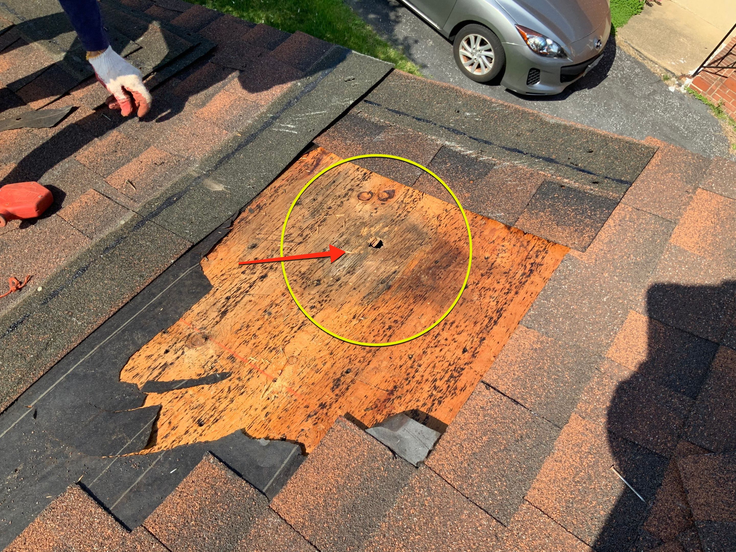 Residential Roofing Repair using Ridge Vent  by Alpha Design Services