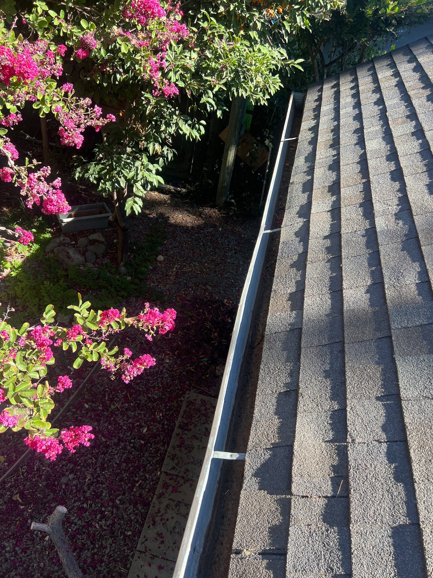 Roof Rejuvenation using Roof Maxx Treatment by Roof Maxx of Folsom
